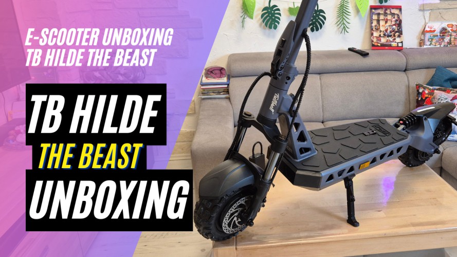 Trittbrett Hilde - The Beast - Unboxing und Probefahrt mit Hindernissen  (48V; 20AH; 2x250W)