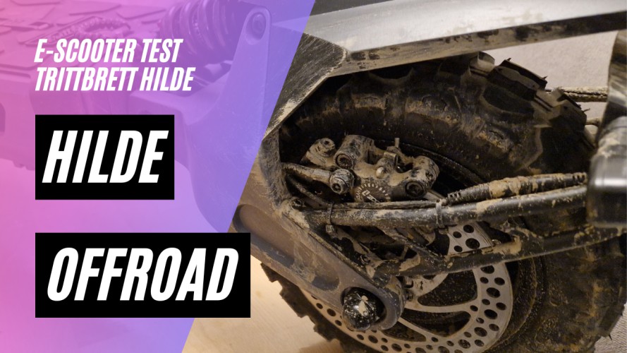 Trittbrett Hilde - Offroad, Steigung und Performance (48V, 16AH, 500W)